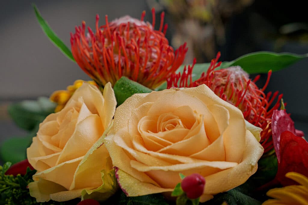 Fêter son anniversaire avec des fleurs !