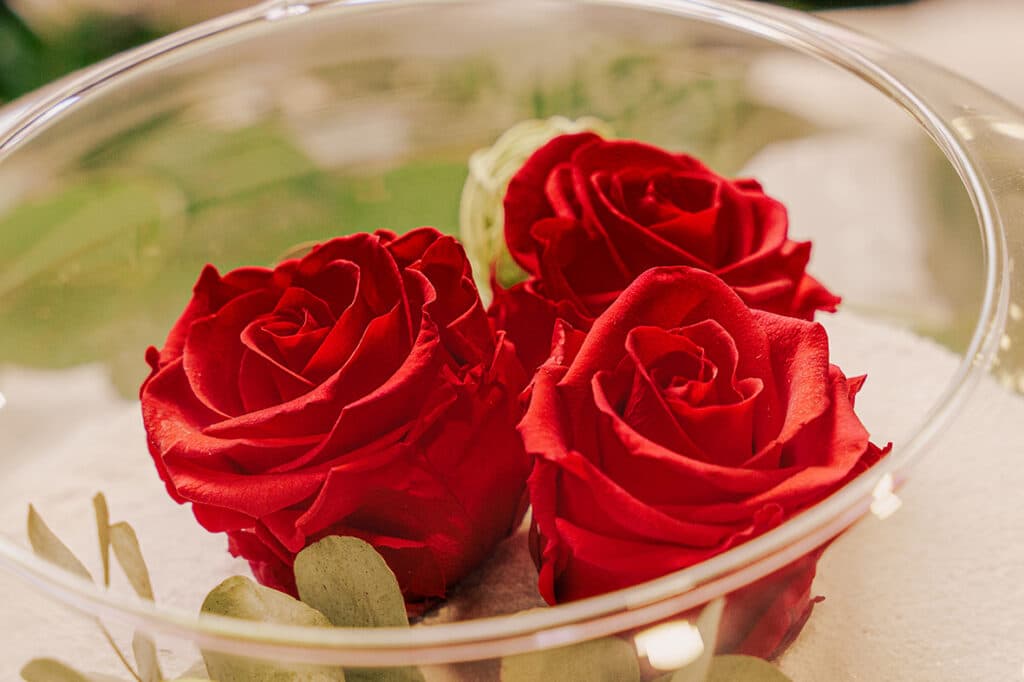 Roses stabilisées rouges