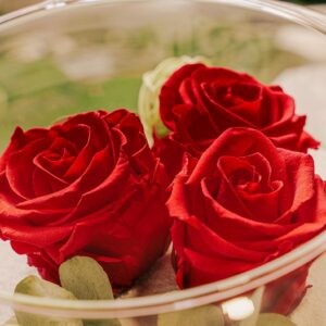 Roses stabilisées rouges
