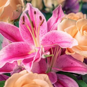 Bouquet roses et lys roses