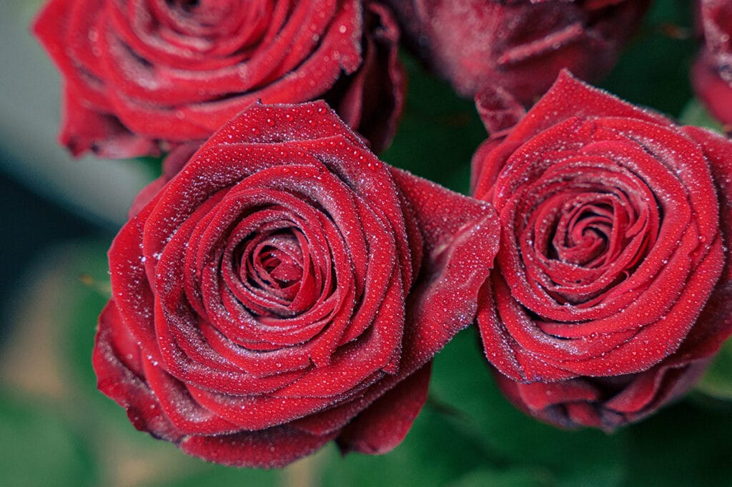 Bouquet de mariage