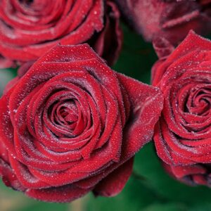 Bouquet de mariage