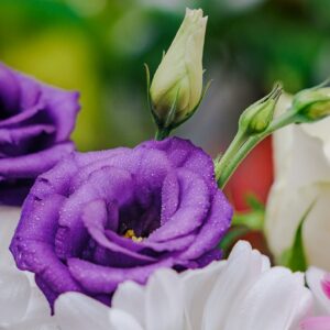 Fleurs pour anniversaire