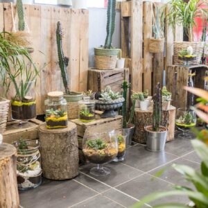 Terrarium : large choix sur villefranche