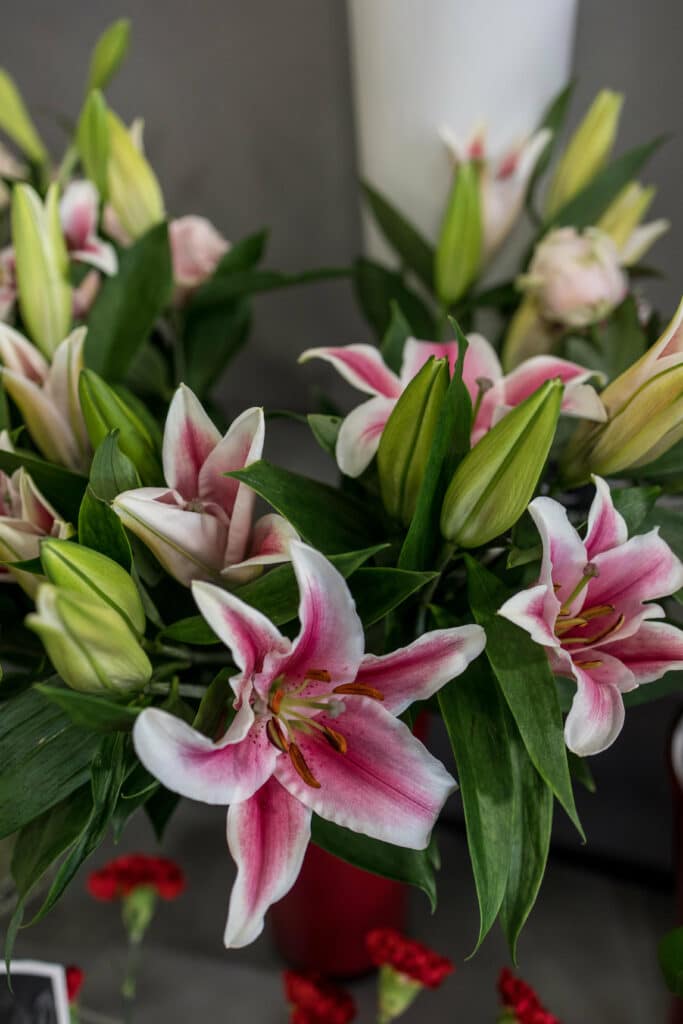 Lys et fleurs coupées villefranche roussieux