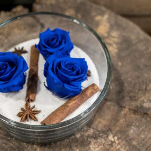 Roses bleues stabilisées