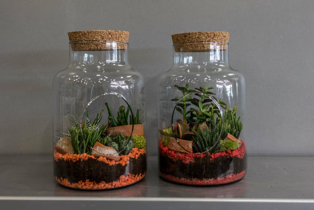 Terrarium gravier orange