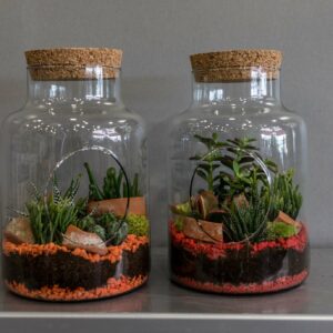 Terrarium gravier orange